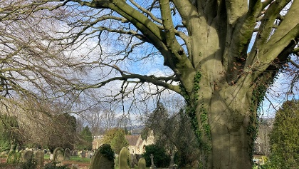 St James' Cemetery Little Loop (Bathscape Walk 2)