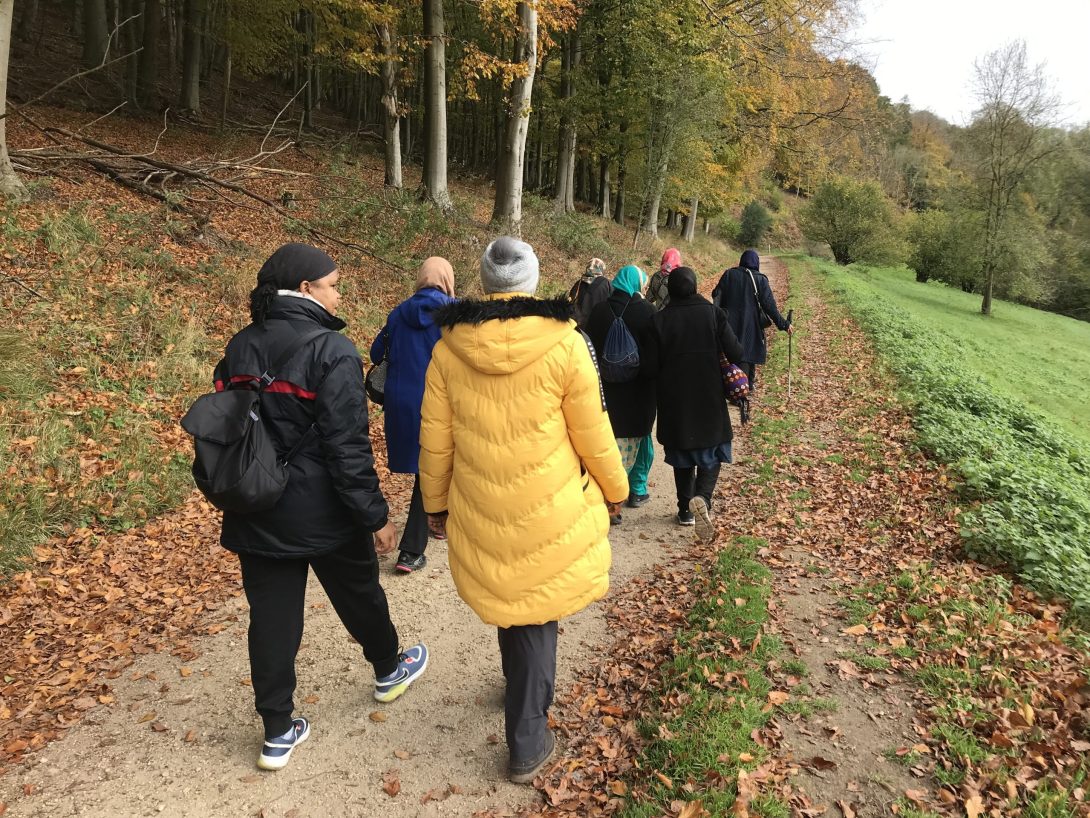 Picture of a group of walkers on a track beside some woodland