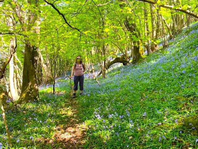 Cheltenham Valley Circular. An April walk to view the new Spring flora.