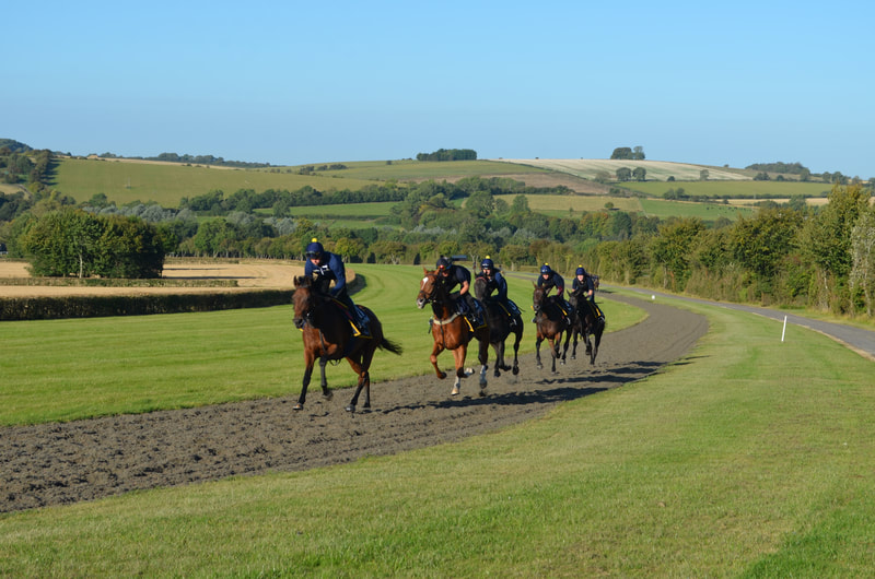 Ford to Cutsdean and a visit to Jackdaws Castle