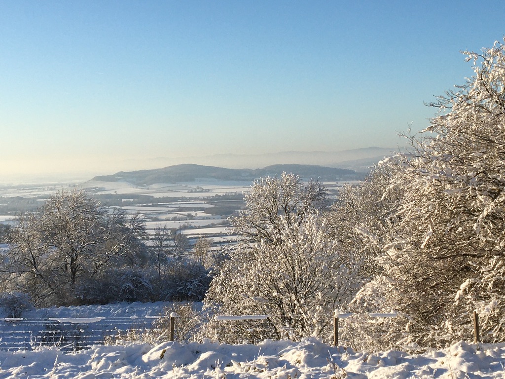 Wild Wintry Wolds - binoculars essential