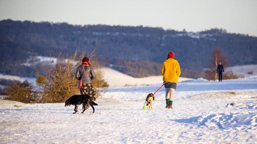 Photo of dog walkers walking through snow on Stroud Common