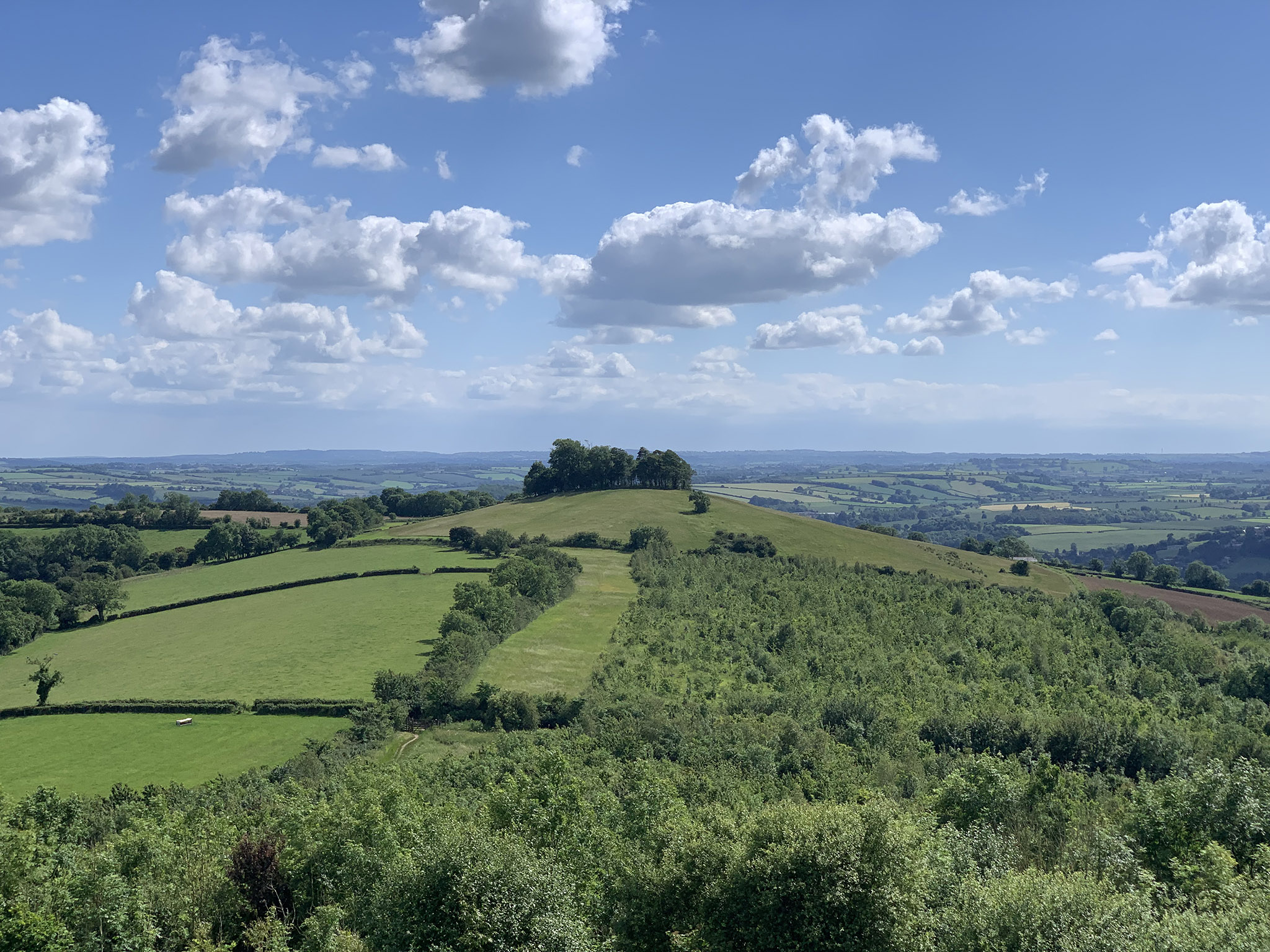 A Mid-summer ascent of Kelston Roundhill