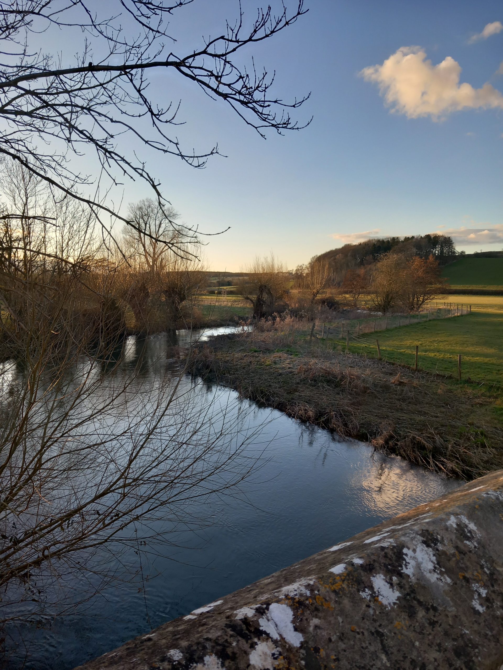 A Manor, Mitfords and a [optional] Farmer's Dog